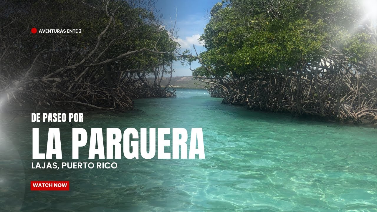 De paseo por la Parguera, Lajas Puerto Rico @aventurasentre2