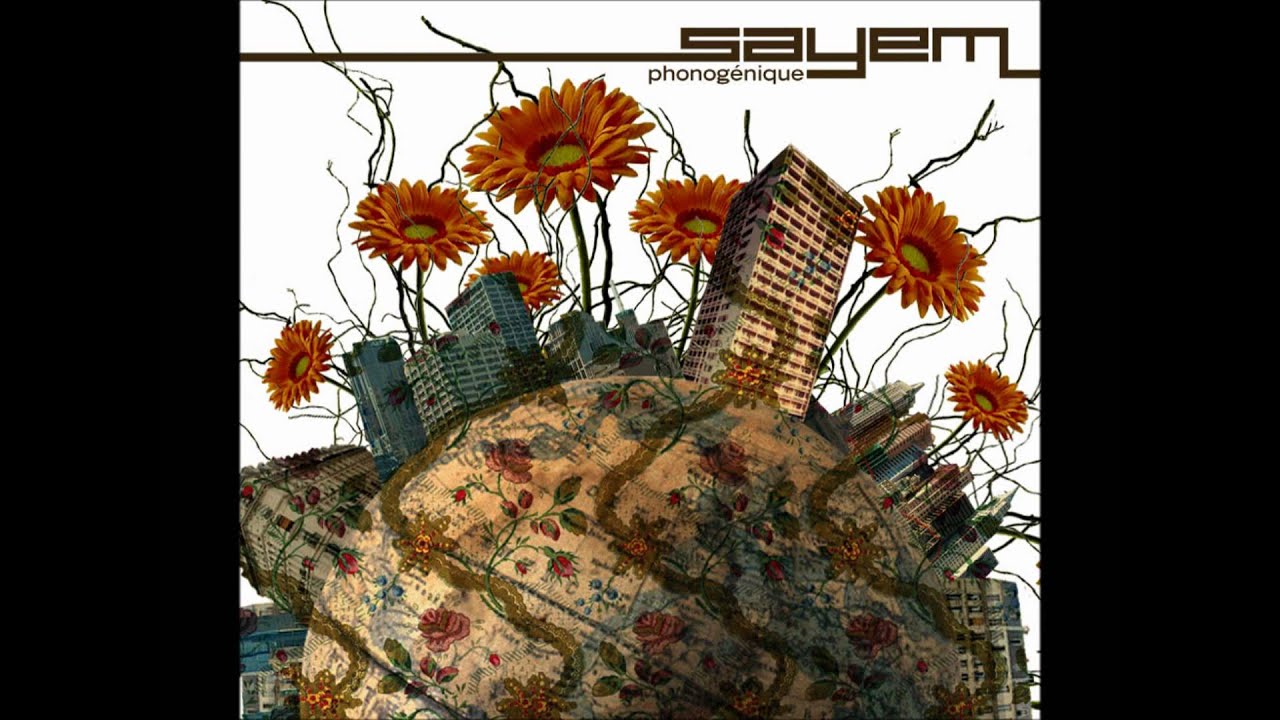 Sayem - The Pixies VS The Beastie Boys