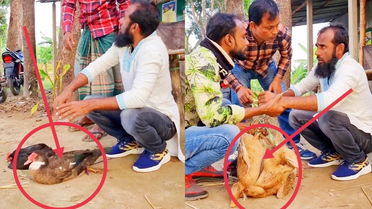 কম দামে কিনে যা হলো