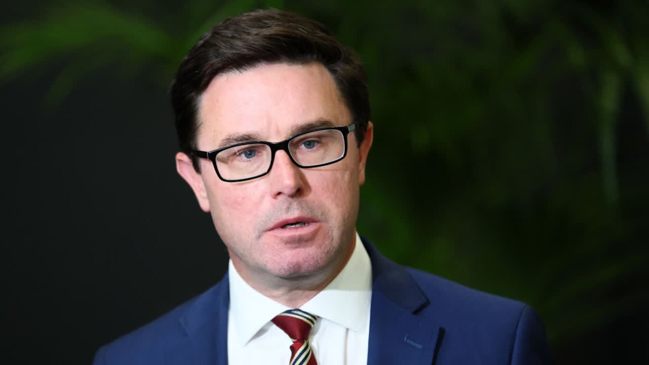 ‘No imminent threat’ to David Littleproud’s National Party leadership