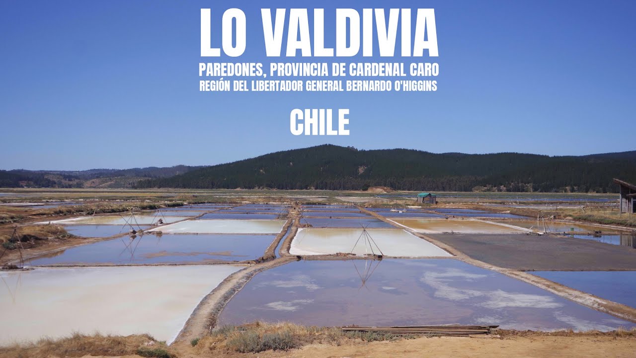 DONDE NACE LA SAL EN CHILE: LA HISTORIA VIVA DE LO VALDIVIA