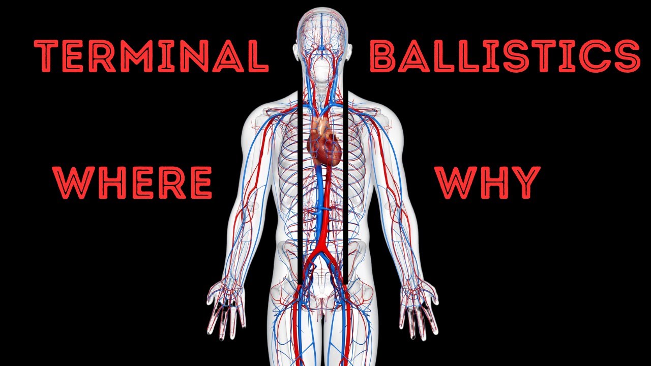 Terminal Ballistics - The Where & Why