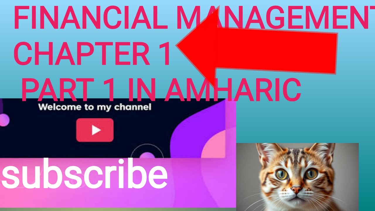 financial management chapter 1 in Amharic for university student