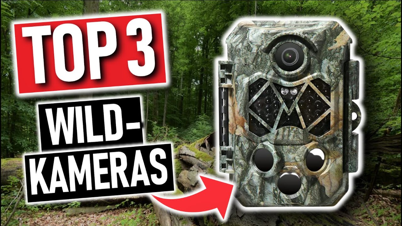 Die besten WILDKAMERAS 2026 | Top 3 Wildkameras 2026