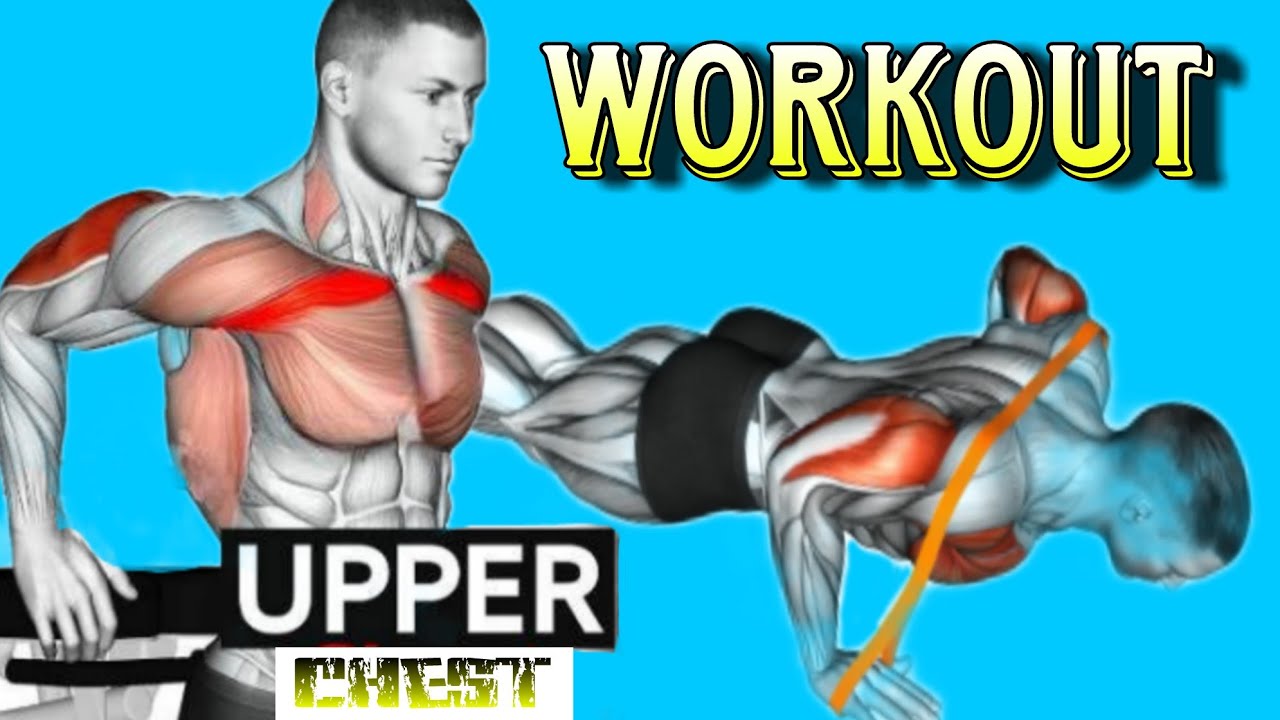 5 Best Chest Workout Videos || Fit vikas