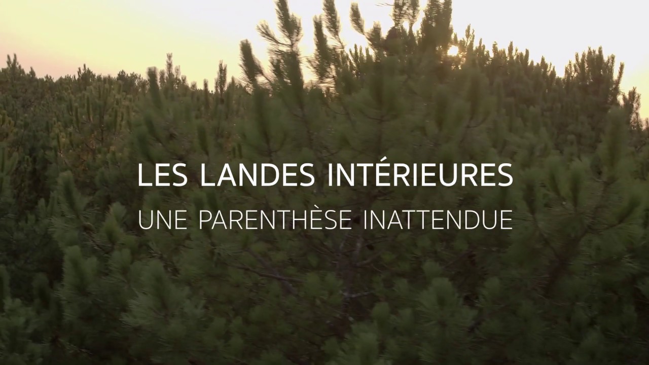 Les Landes Int&eacute;rieures, une parenth&egrave;se inattendue !