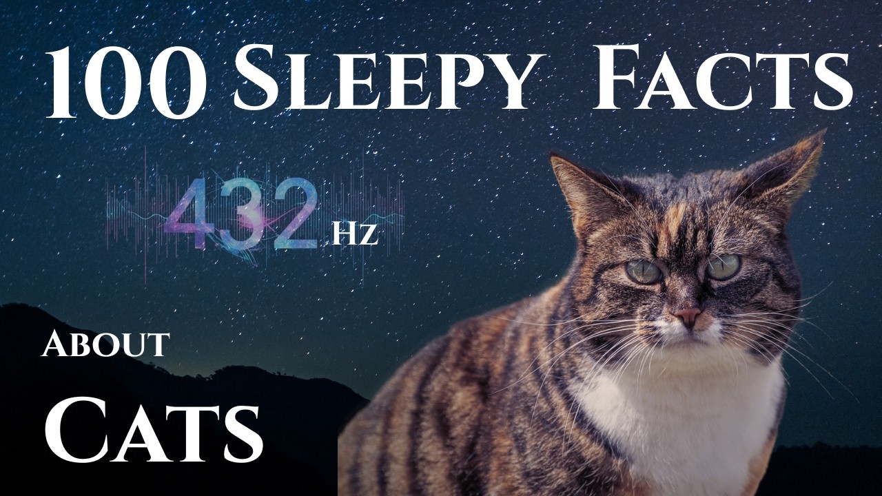The Most Relaxing Facts About Cats To Fall Asleep To