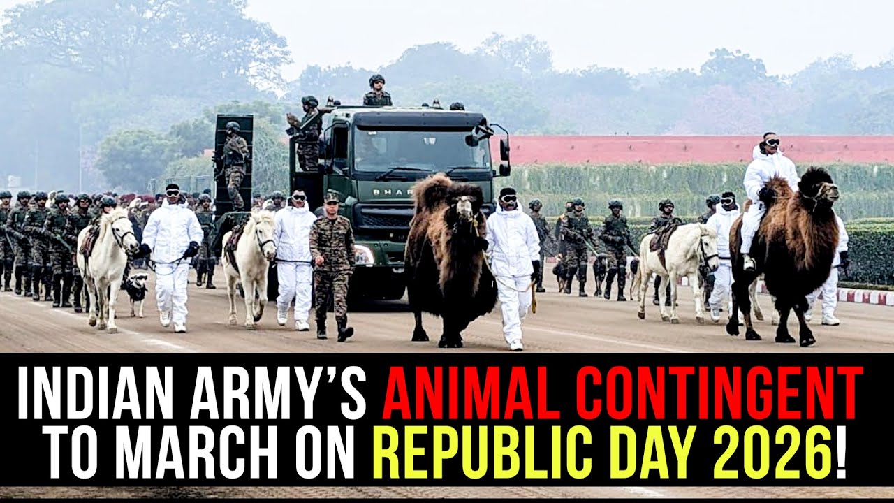 Indian Army’s Animal Contingent to March on Republic Day 2026!