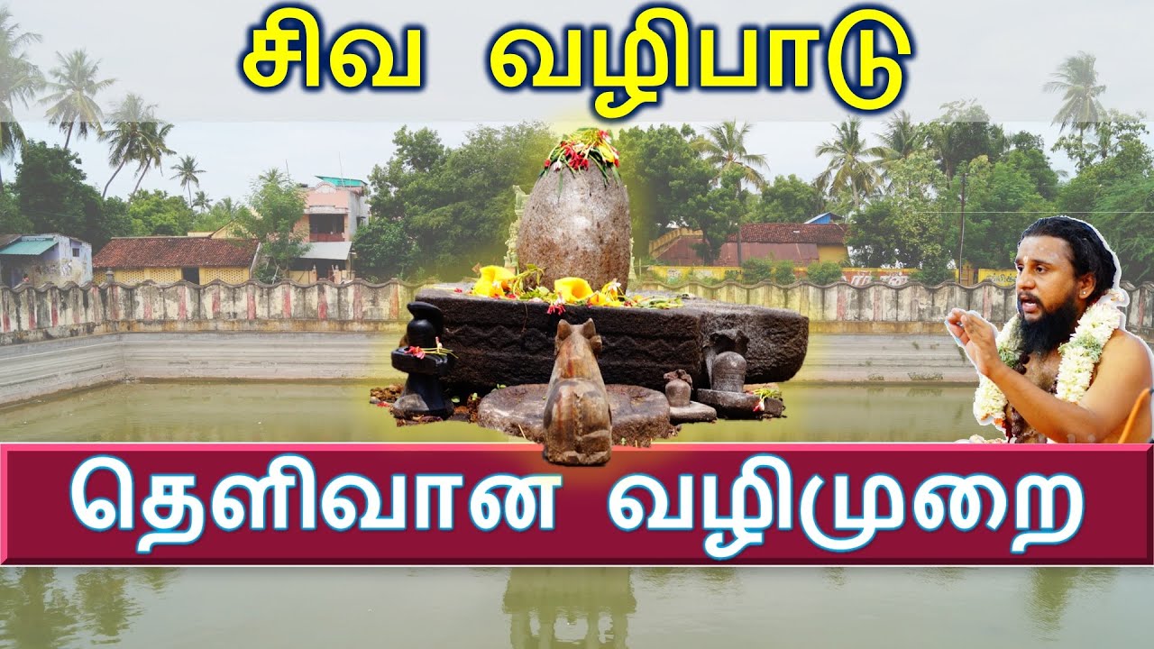 #97 சிவ  வழிபாடு -  தெளிவான வழிமுறை! | Thirumurai | 20.10.19