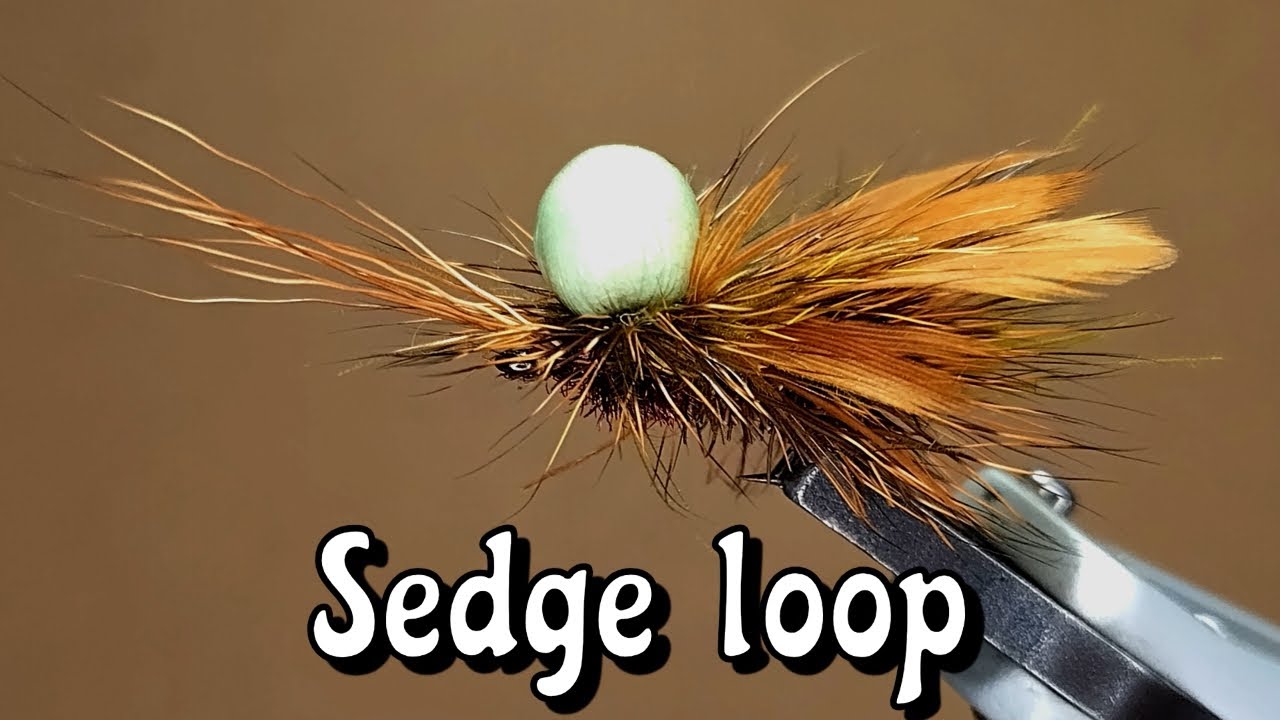 SEDGE IN ASOLA in capriolo,  SEDGE LOOP roe deer