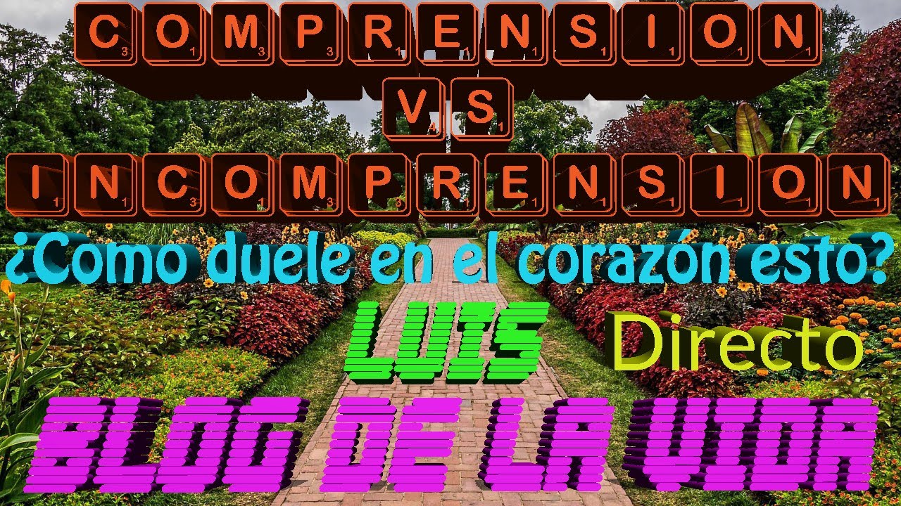 Comprensi&oacute;n vs Incomprensi&oacute;n &iquest;C&oacute;mo duele en el coraz&oacute;n? | T1 EP 11 | Blog de la Vida | Luis