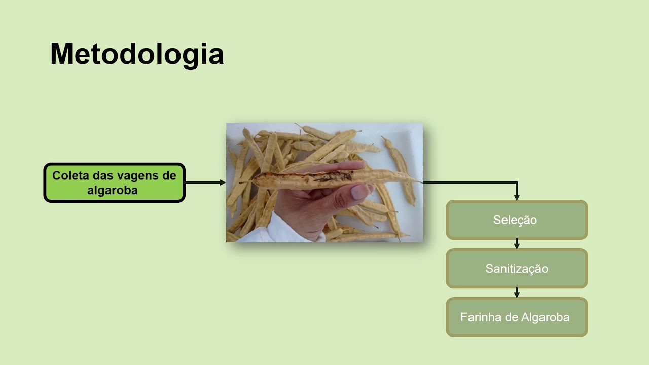 284451 - DETERMINA&Ccedil;&Atilde;O DE COMPOSI&Ccedil;&Atilde;O F&Iacute;SICO-QU&Iacute;MICA E MINERAL&Oacute;GICA DE FARINHA DE ALGAROBA (Prosopi...