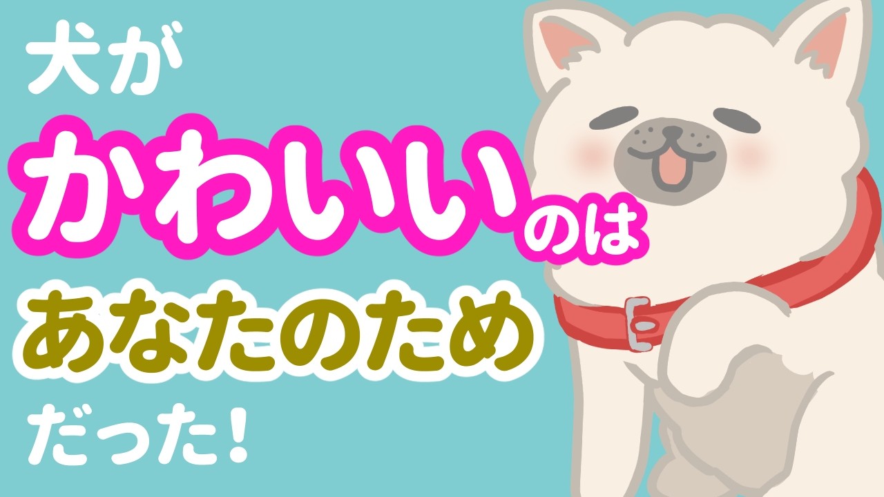 犬が可愛いのは‥あなたを好きすぎるから！5つの理由を解説