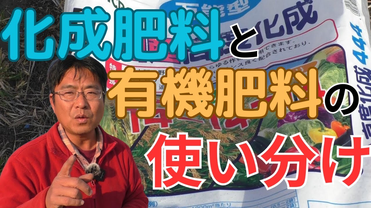 「化成肥料」と「有機肥料」は効果の出現と持続性が異なります。使い分けて上手に野菜を育てましょう！（2025.2.4）