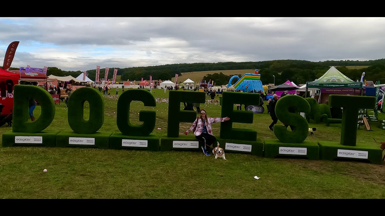 DogFest 2022 at Harewood House 🐶