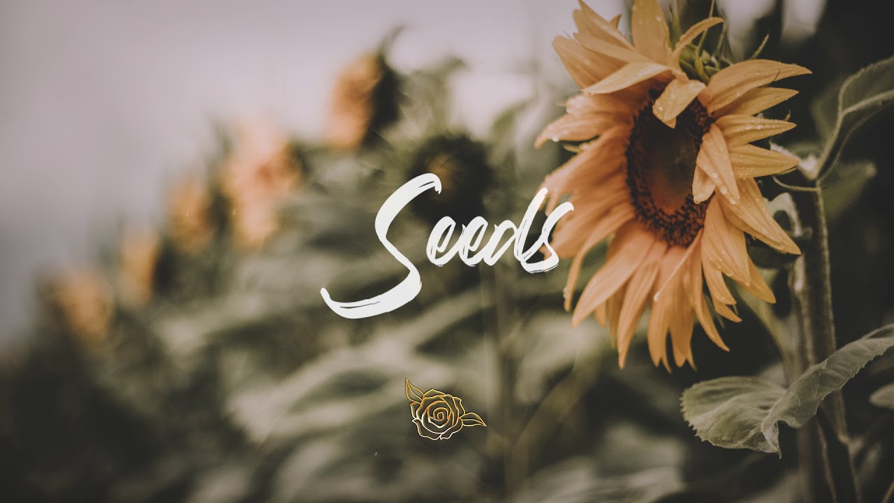 'Seeds' Sad Chill Trap Type Beat (Prod. Mors)