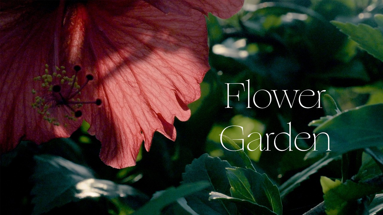 Cinemetic Beautiful Garden