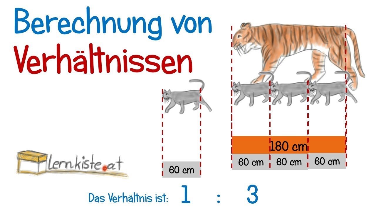 Verhältnisse berechnen - Bruchrechnung, Verhältnisse kürzen und Verhältnisgleichung