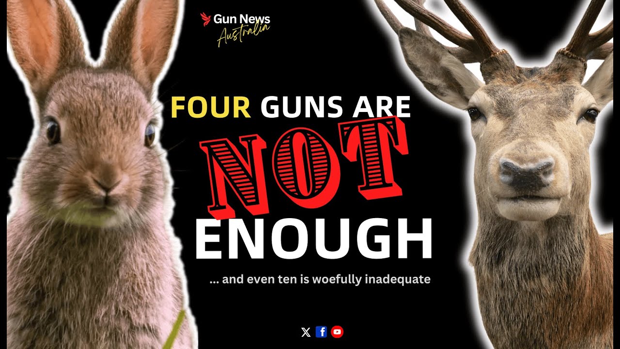 4 GUNS ARE NOT ENOUGH: Here&rsquo;s why the NSW limits won&rsquo;t work