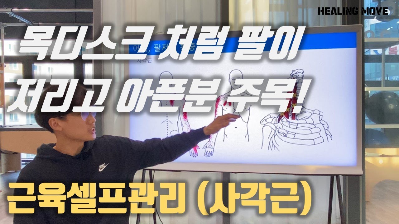 목이 자주 아프고, 팔까지 저리는분들 주목! / 사각근 관리법 / 근육통셀프관리