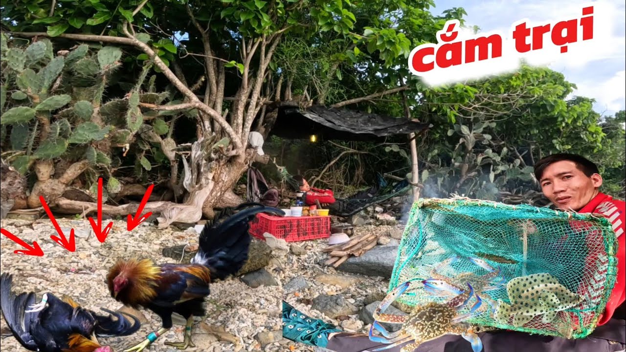 CẮM TRẠI TRÊN ĐẢO BẪY GÀ RỪNG ĐẶT LÒNG CÁ.....CAMPING ON THE ISLAND, SHOOTING FOREST CHICKEN