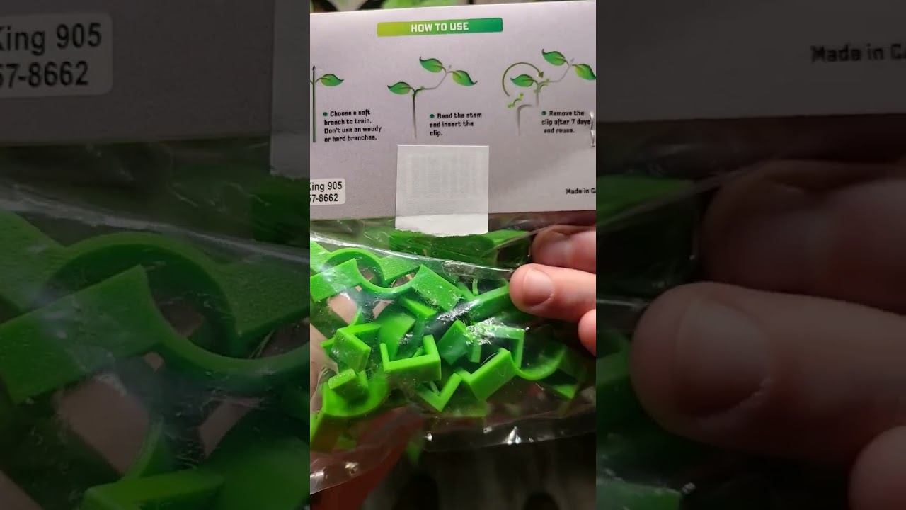 bendin stems with Bend A Stem low stress training clips