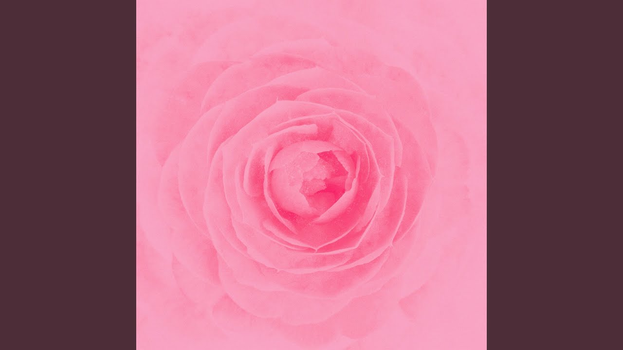 秘密がいたいよ