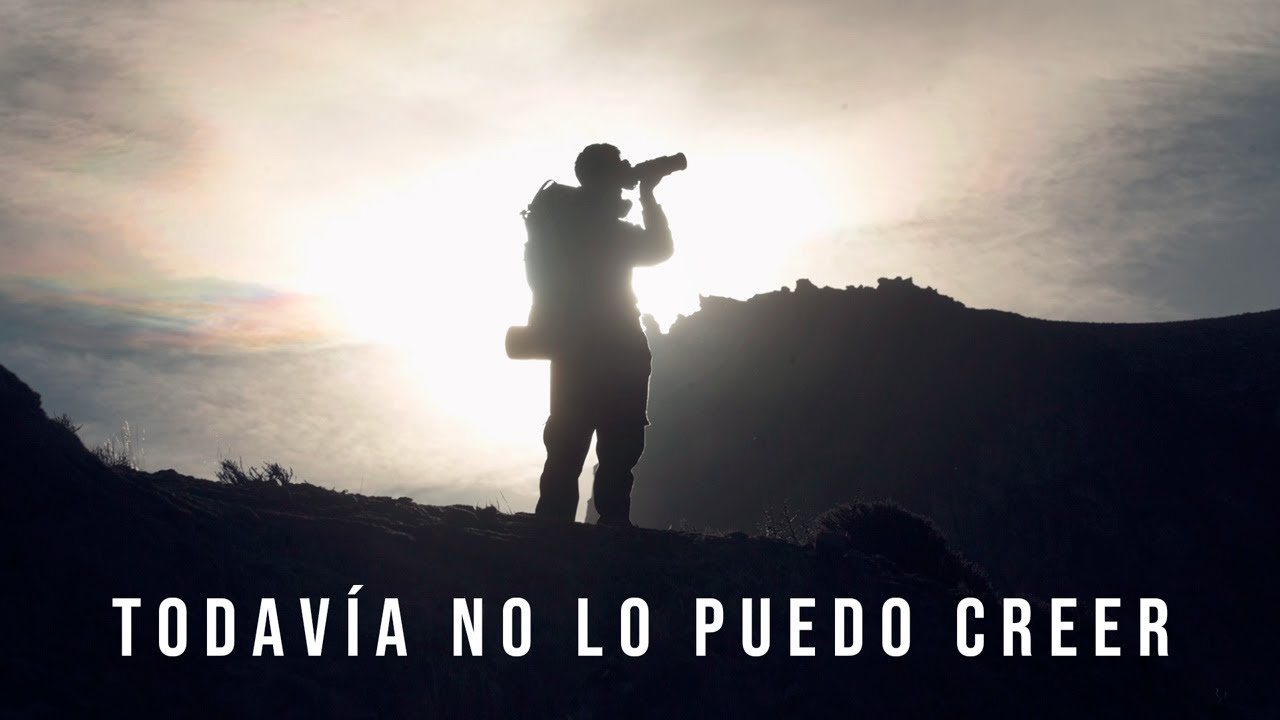 Fotografiando PUMAS en la PATAGONIA