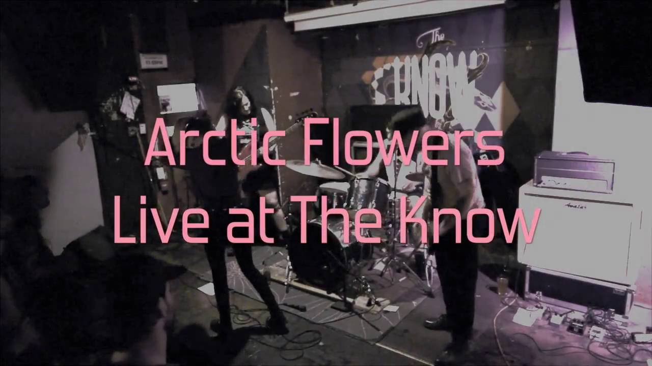 Arctic Flowers -