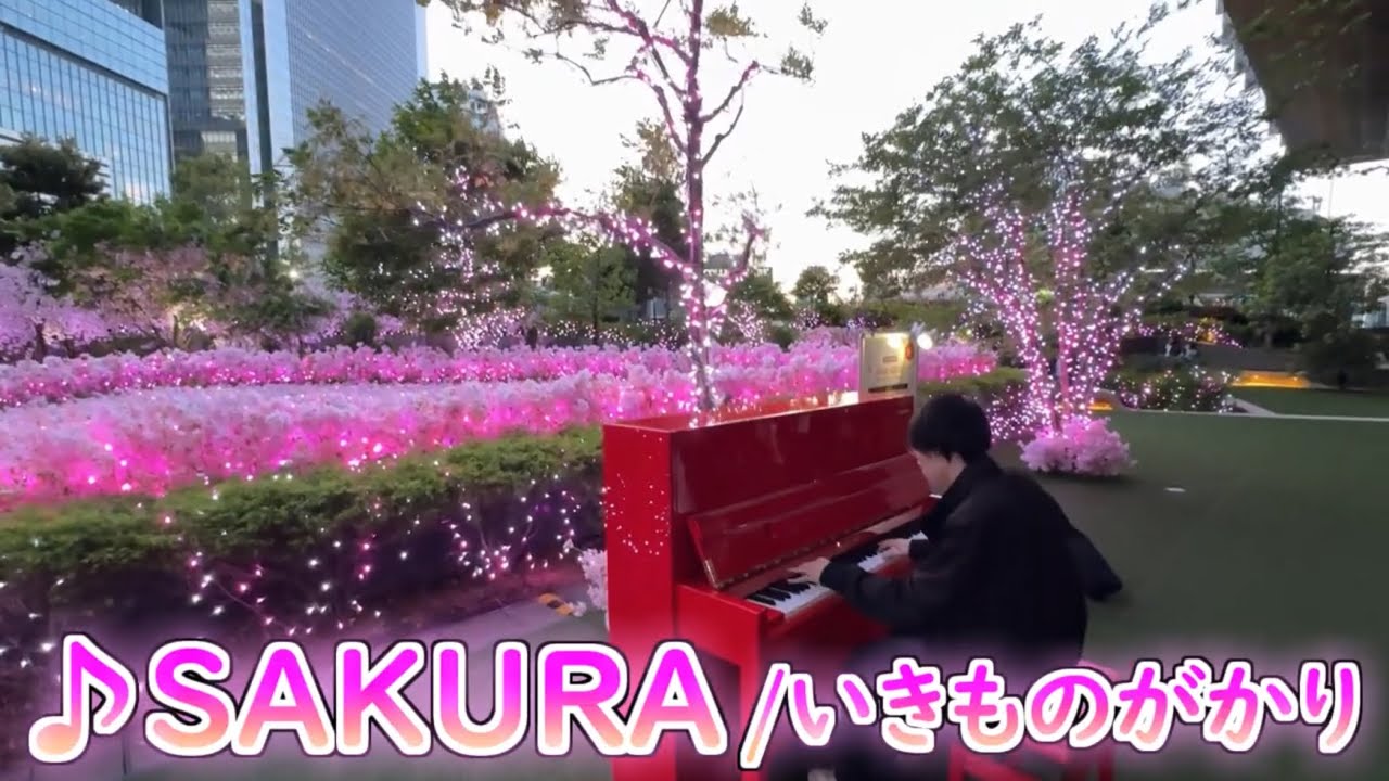 桜の咲き乱れる屋上で｢SAKURA/いきものがかり｣弾いてみた【ストリートピアノ】