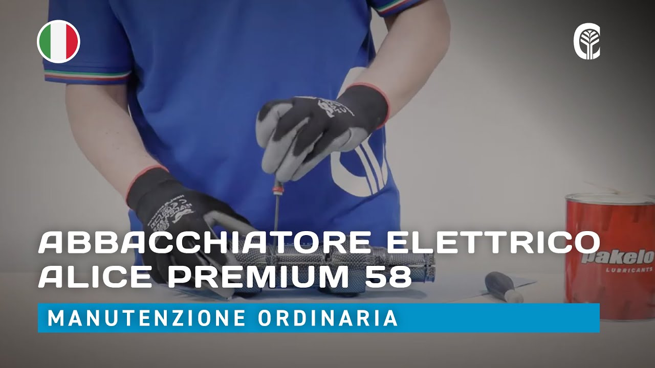 🇮🇹 Manutenzione ordinaria: CAMPAGNOLA ALICE PREMIUM 58