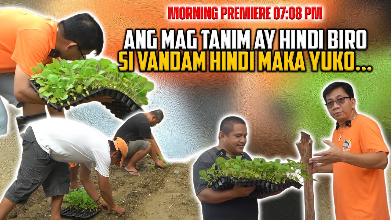 ANO KAYANG KLASENG HALAMAN ITONG TINATANIM NG TEAM DADDY FRANKIE SA LIKOD NG SHELTER? HULAAN NIYO!