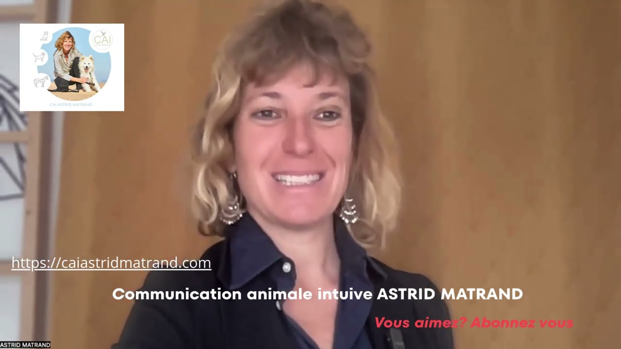 Chronique  de mars: les pépites sur nos animaux de compagnie
