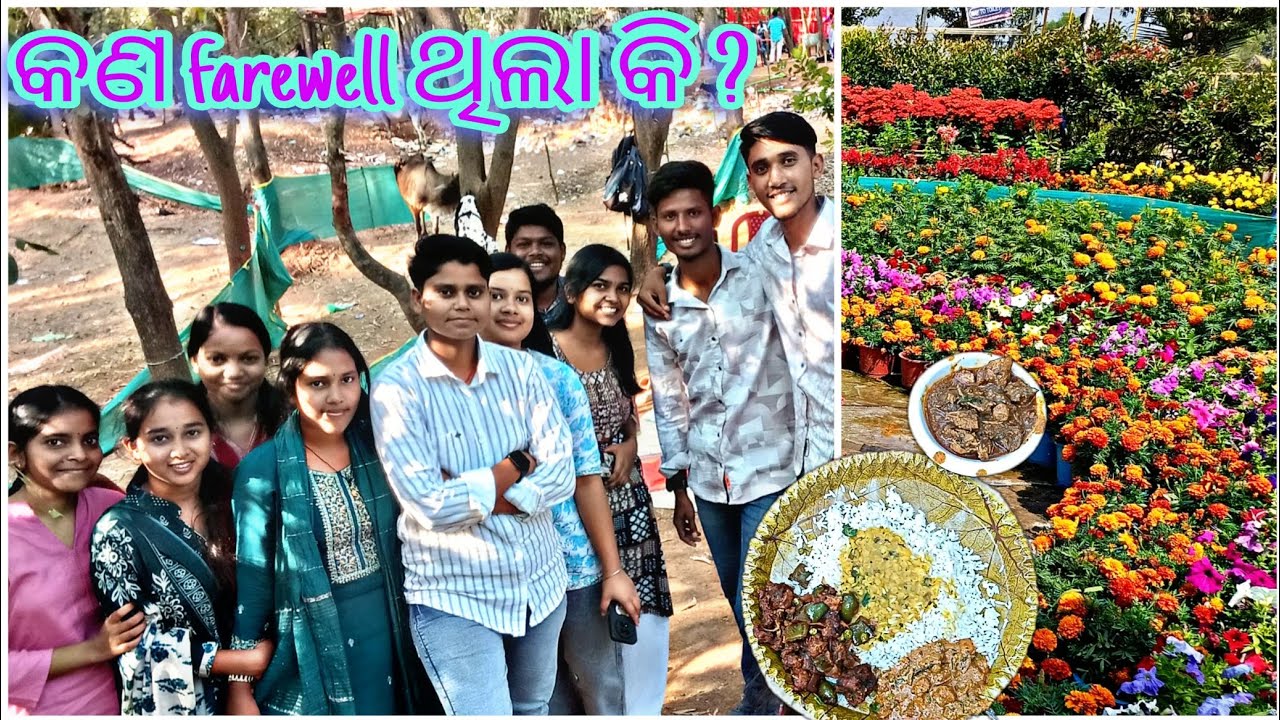 ଭୁଷଣ୍ଡପୁର park ରେ କାହିଁକି ହେଲା ଭୋଜି! 🤔 କାମ କରିବାରେ ଆଉ ଖାଇବାରେ ବିତିଲା ସାରା ଦିନ 🤯 Mousumee Vibes 🎉