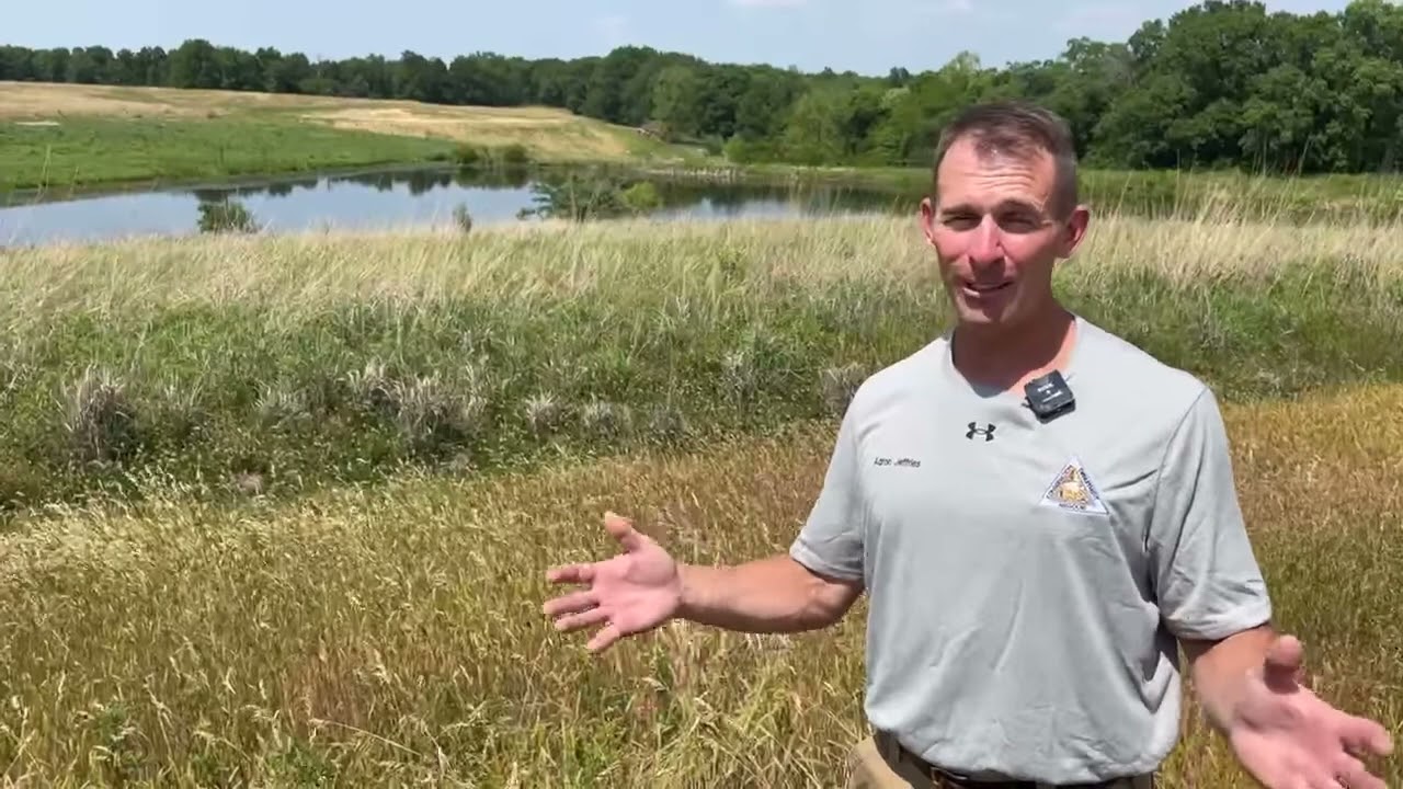 Habitat Hints - Don't Recreational Mow
