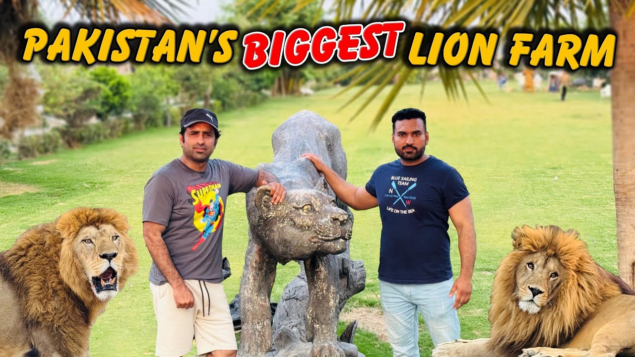 Exploring new animals at Faizi wildlife farm 🐅🐅