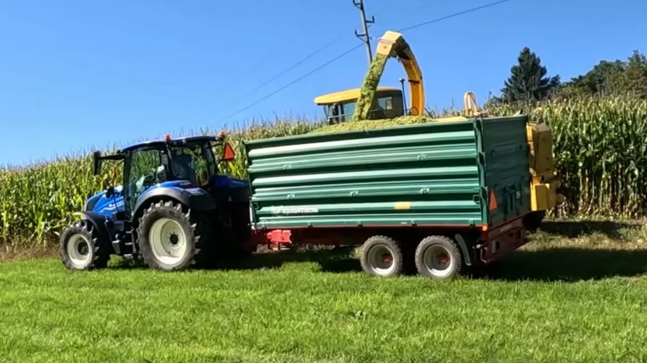 Corn Silage Harvest on a Small Dairy Farm