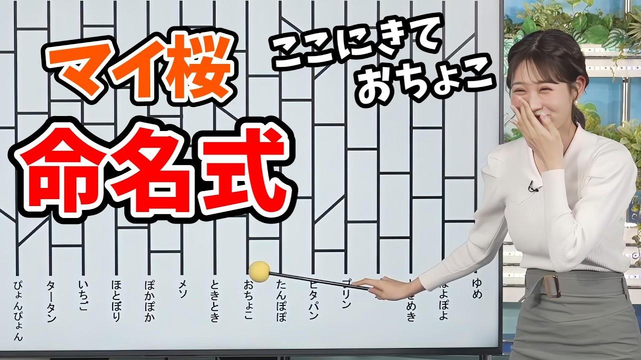【戸北美月】あいりんに続きアミダでマイ桜の名前を決めるみーちゃん【ウェザーニュース切り抜き】