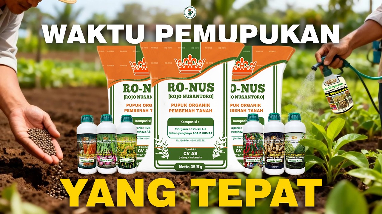 Cara Tepat Menggunakan Pupuk Organik Granul & Cair Rojo Nusantoro Agar Panen Lebih Maksimal