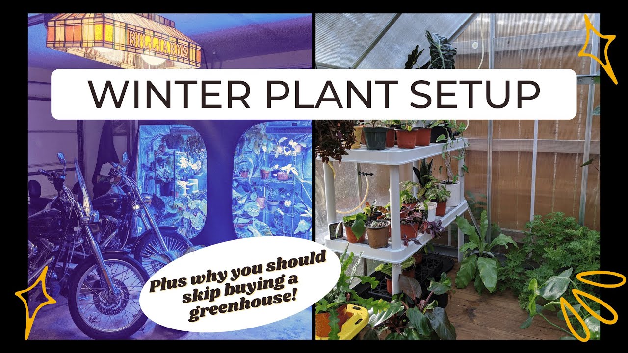 Winter Plant Setup - Indoor Greenhouse & Indoor Growing Recommendations