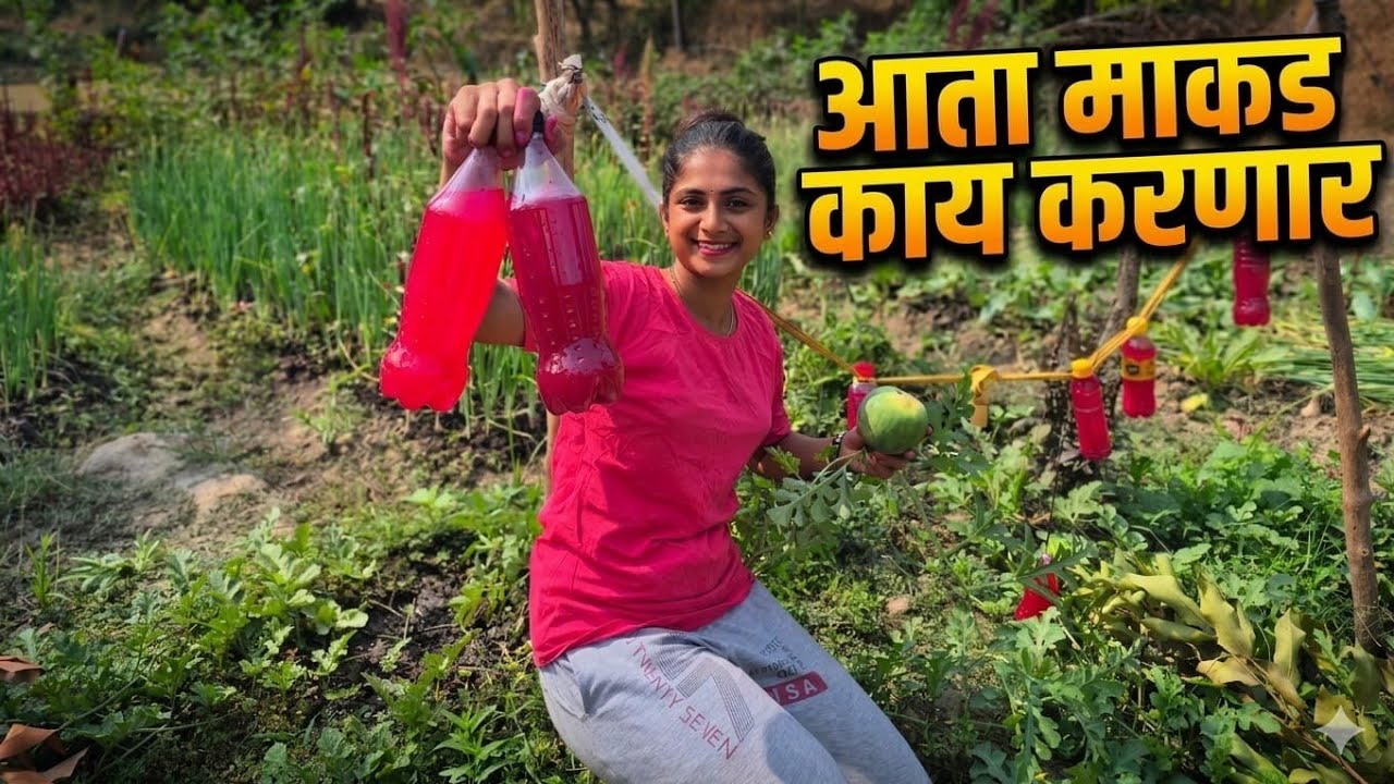 माकडांना पळवण्यासाठी नवीन जुगाड | यशस्वी होणार का ?🤔🌿