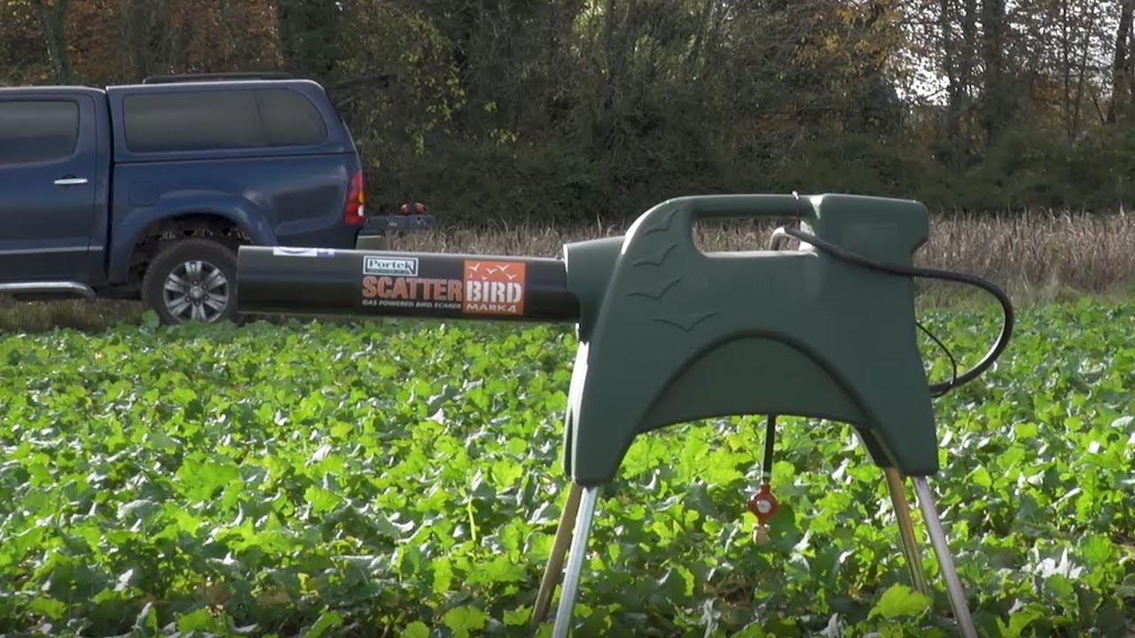Portek MK4 Scatterbird Birdscarer