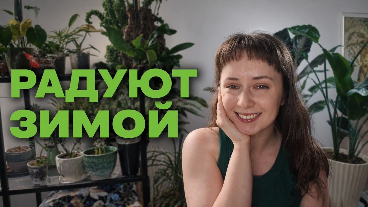 Эти растения СПАСАЮТ меня ЗИМОЙ