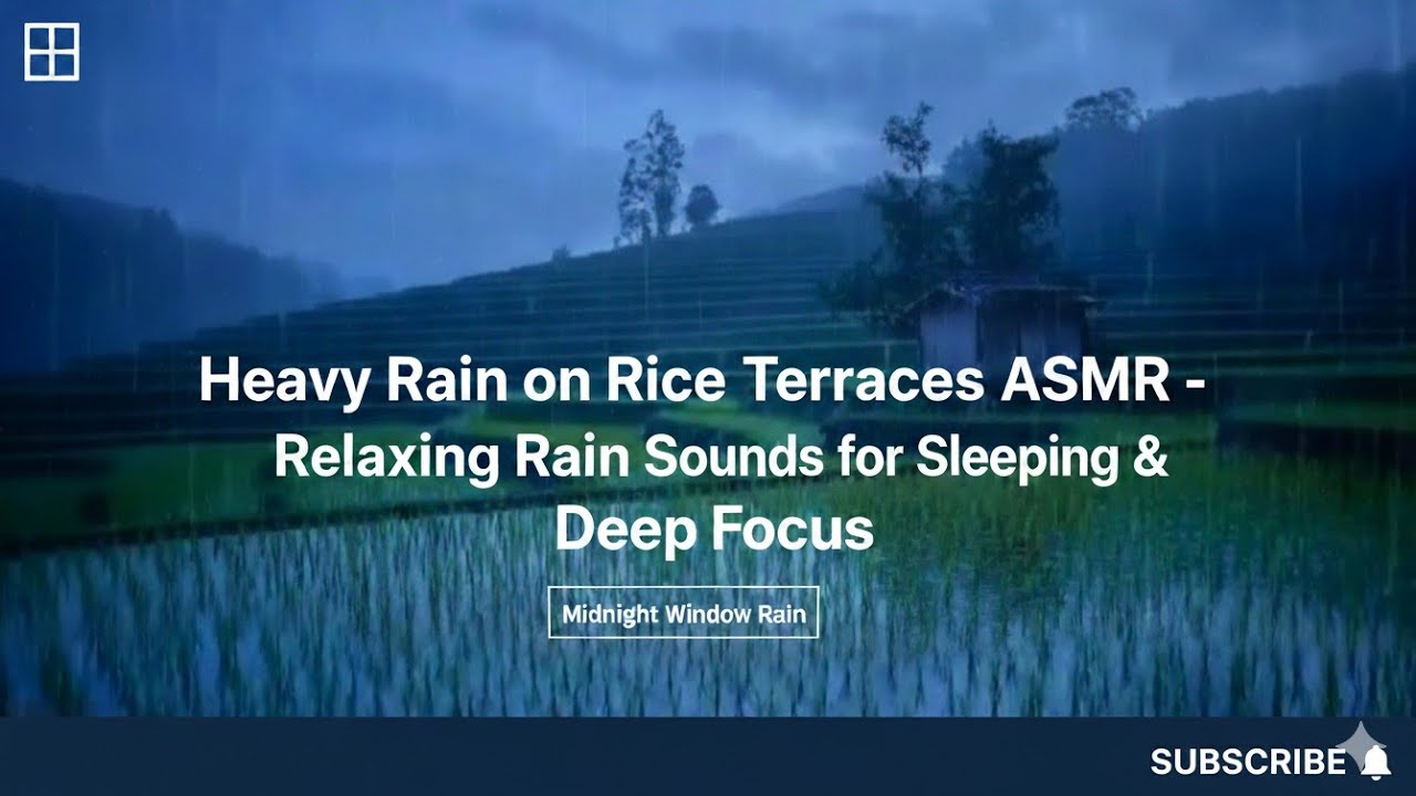 Heavy Rain on Rice Terraces ASMR - Relaxing Rain Sounds for Sleeping & Deep Focus