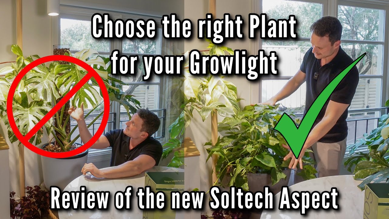 The perfect Spotlight for your Plants - review of the new Soltech Aspect Gen 2