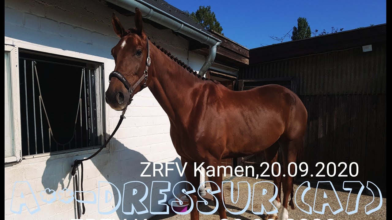 A**-Dressur (A7) ll Kamen ll Loufflon