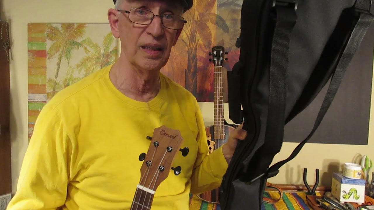 Which Baritone Ukulele to Get for a Beginner Less than $200?