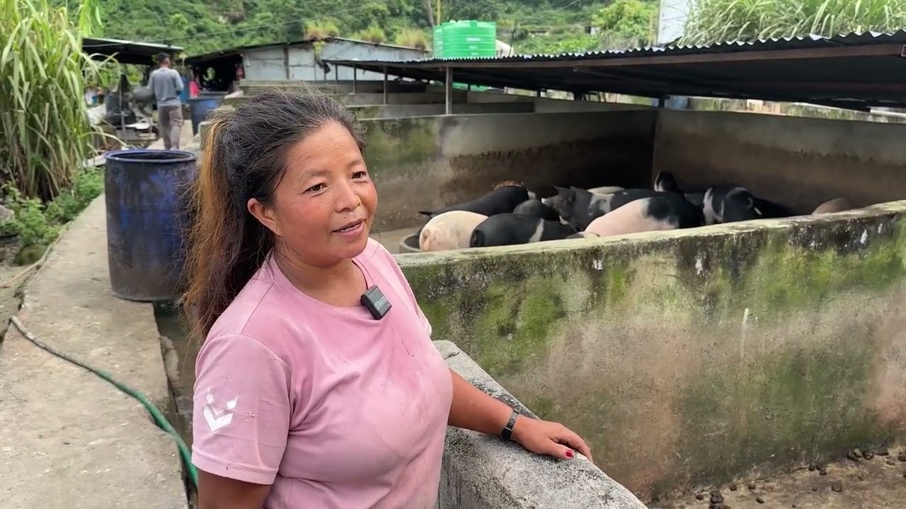 PiG FARM