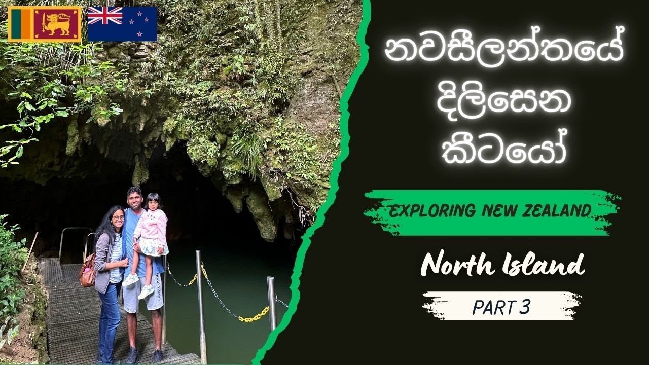 New Zealand's amazing Glowworms - දිලිසෙන කීටයෝ | Sinhala Travel Vlog | Sri Lankan Family