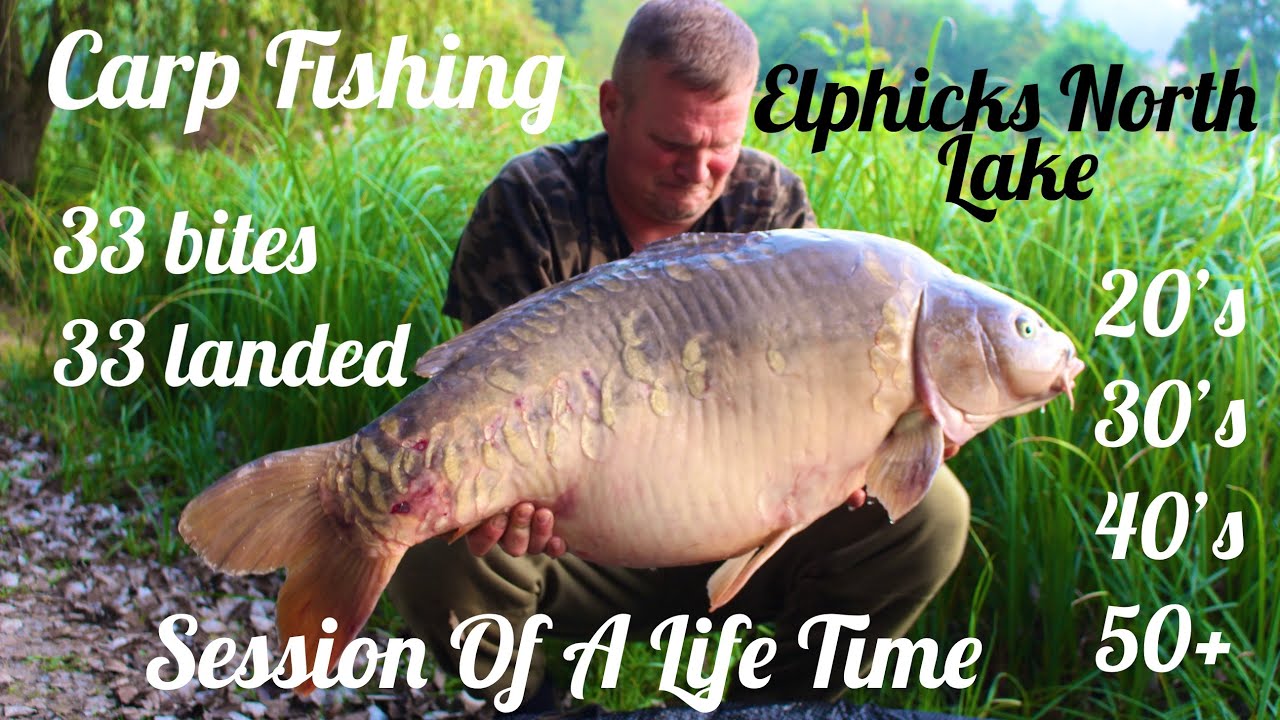 Carp Fishing ~ Elphicks North Lake ~ Session of a Life Time